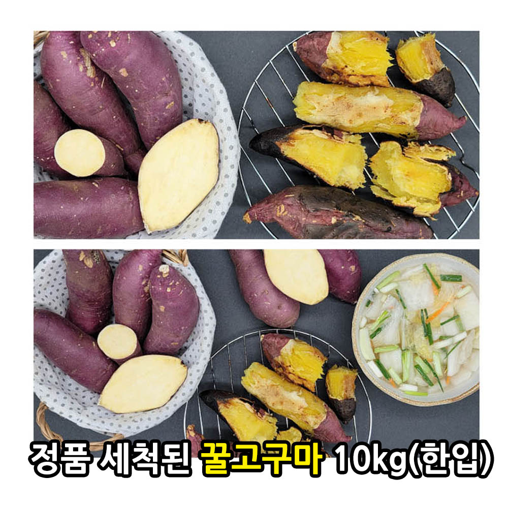 [비세척] 21년산 햇 꿀고구마 10kg(한입)
