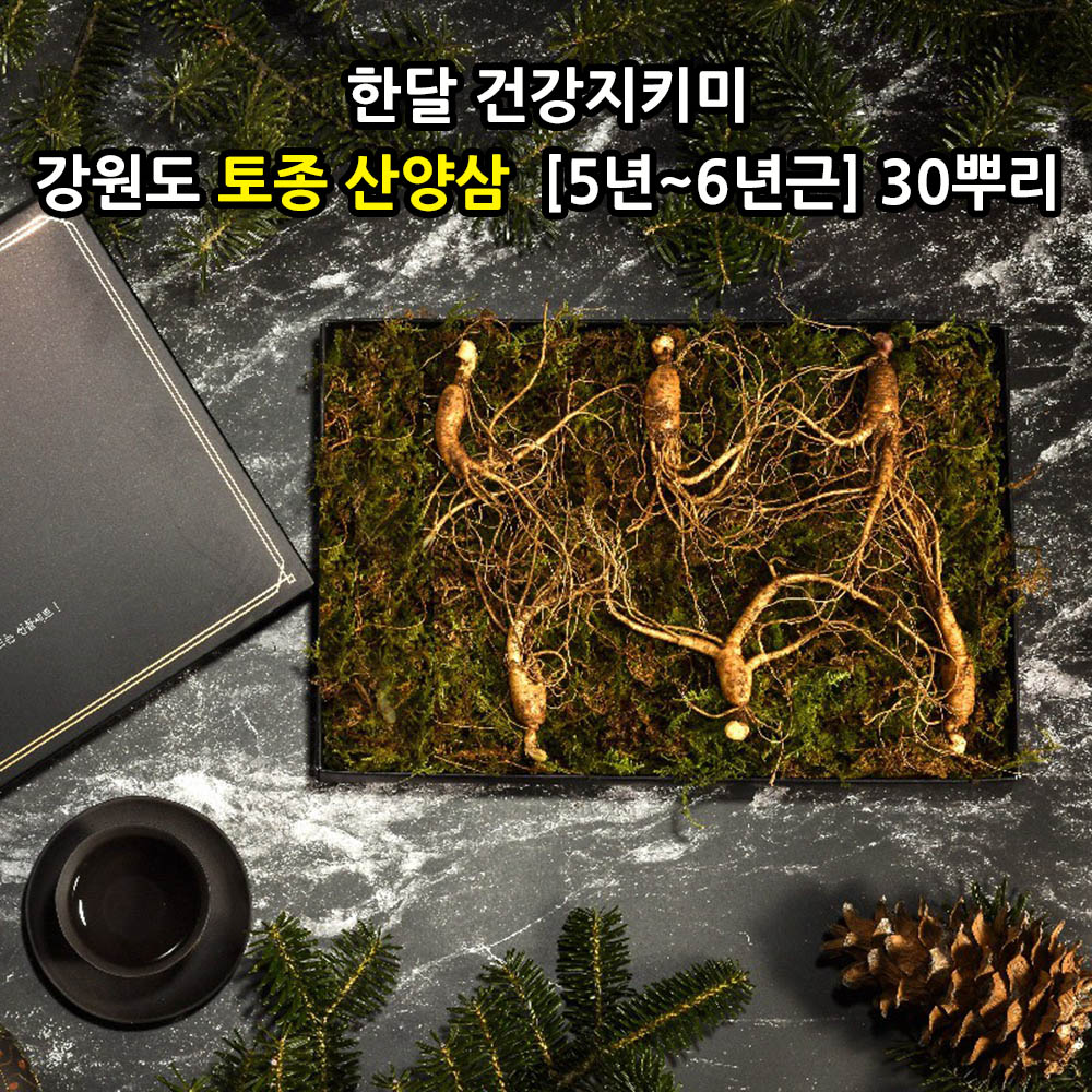 [선물포장] [더 기다림] 한달 건강지키미 강원도 토종 산양삼  [5년~6년근] 30뿌리