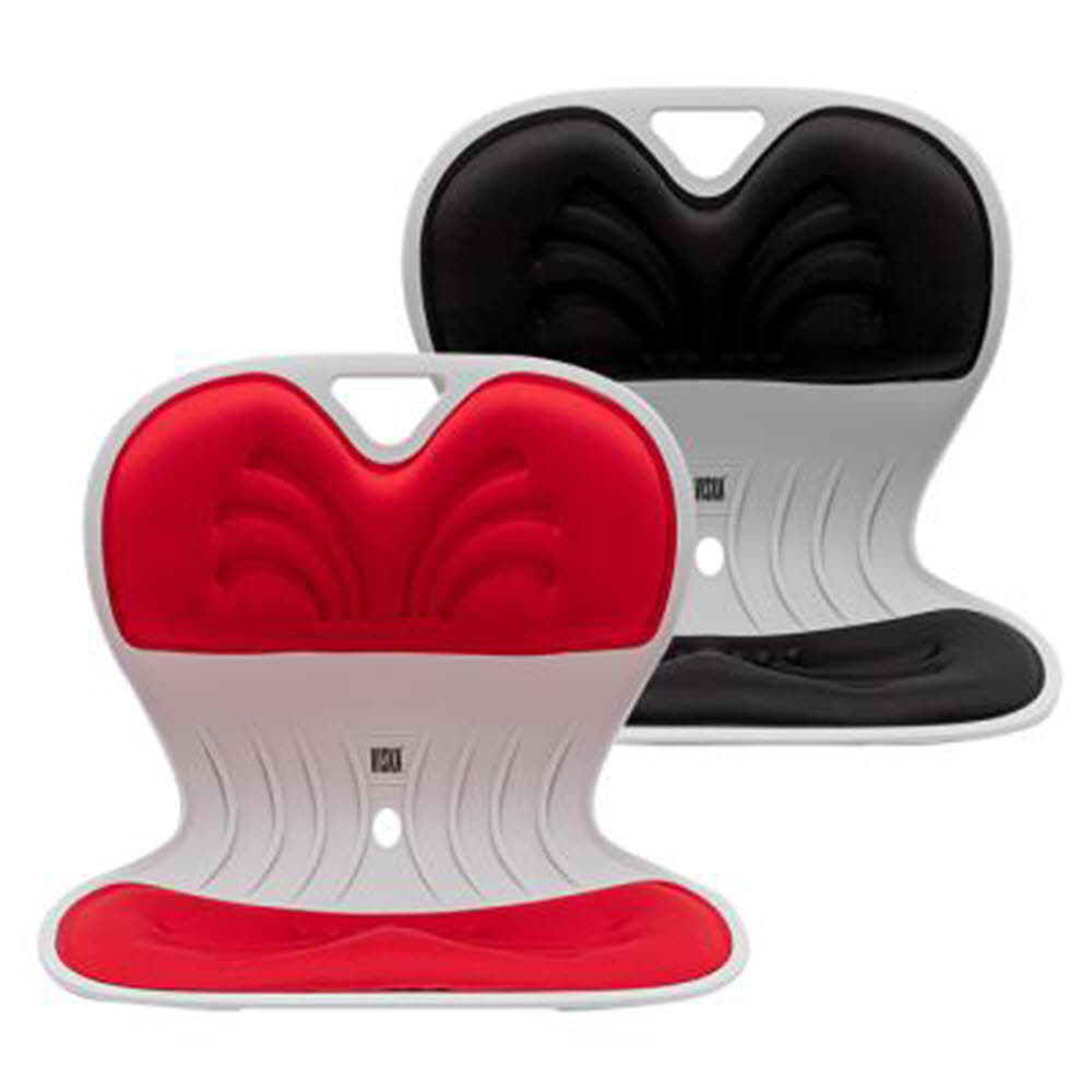 비스카 바른자세 교정의자 라인체어 KD01