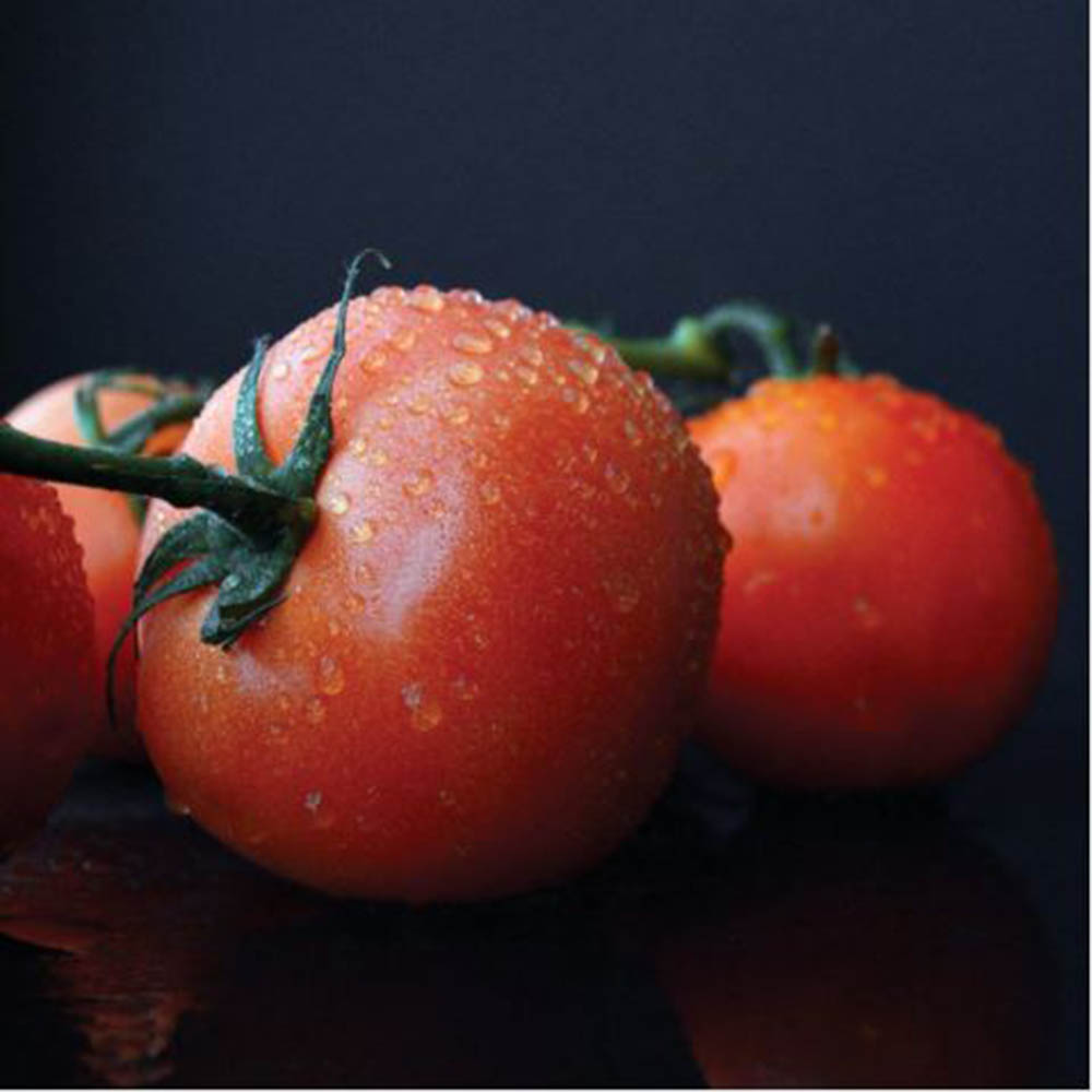 스테비아 토마토 1kg+1kg(2팩)