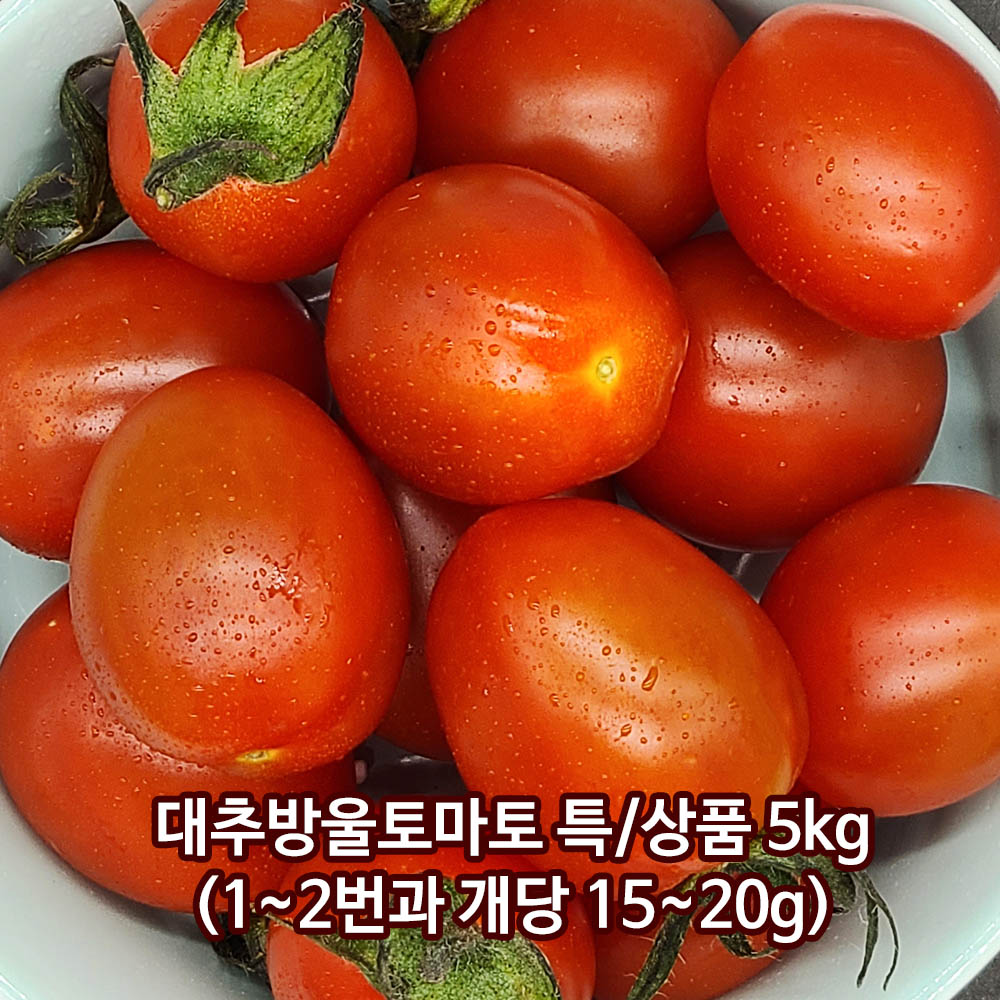 대추방울토마토 특품 5kg(1~2번과)