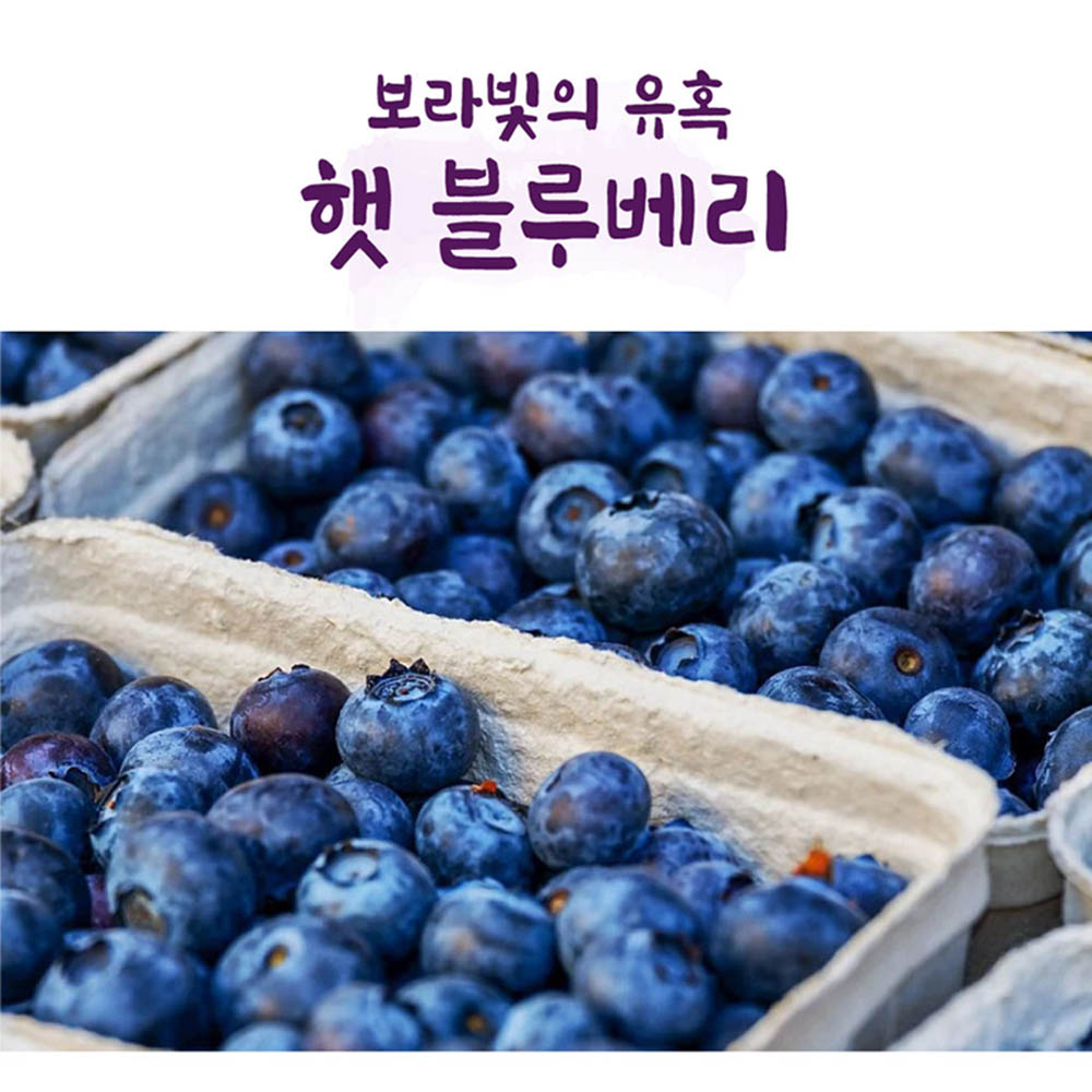 국산 햇 블루베리생과 1kg(상품)