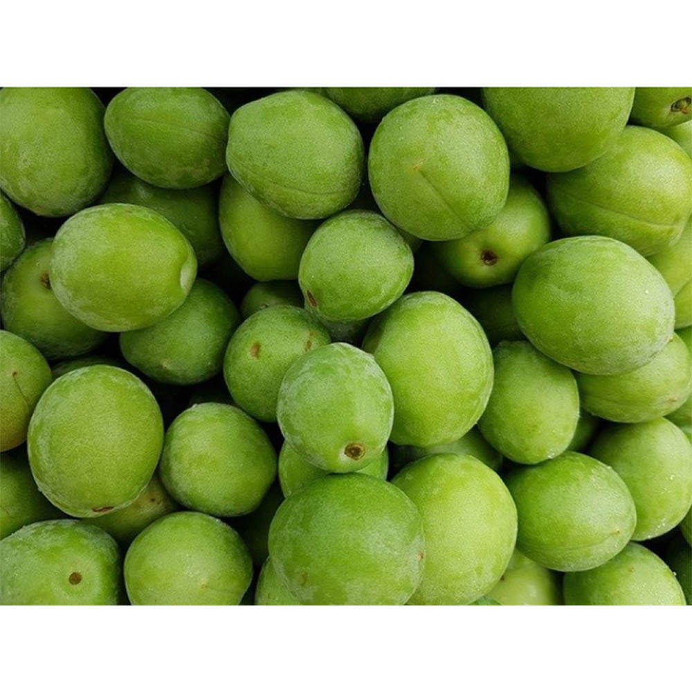 21년산 남도 매실 생과 10kg (특/2번/3.5cm 내외) /아이스팩 동봉