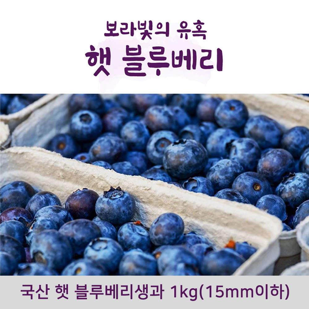 국산 햇 블루베리생과 1kg(15mm이하)