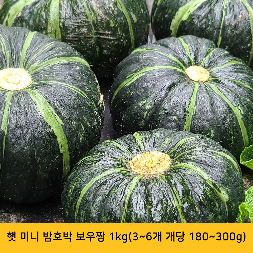 햇 미니 밤호박 보우짱 1kg(3~6개 개당 180~300g)