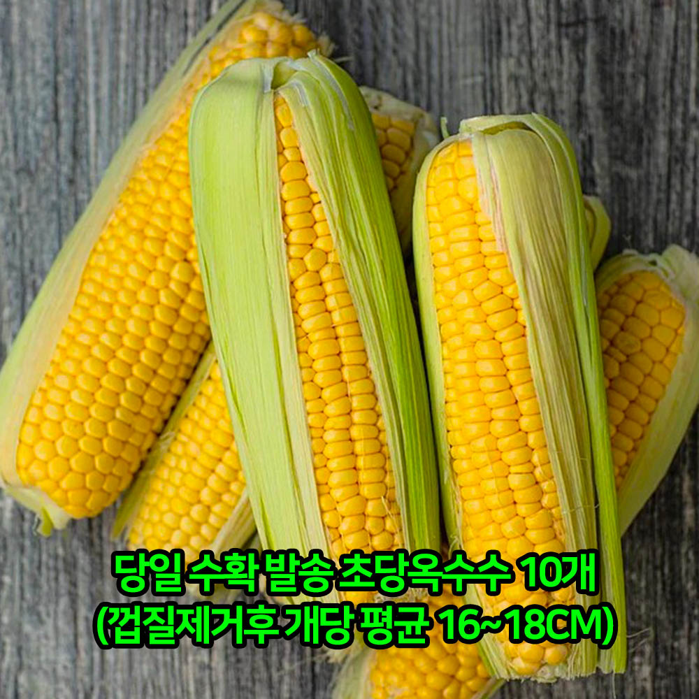 [아이스팩 동봉] 당일 수확 발송 남도 초당옥수수 10개(껍질제거후 개당 평균 17cm이상)