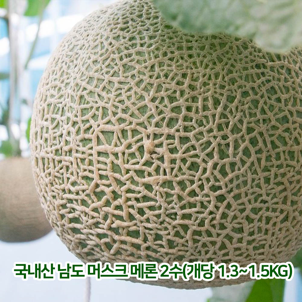 국내산 남도 머스크 메론 2수(개당 1.3~1.5kg)