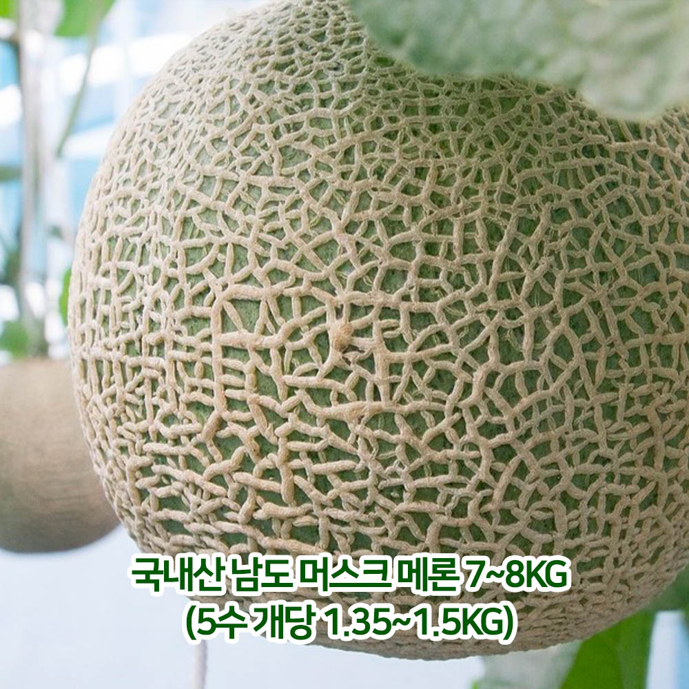 국내산 남도 머스크 메론 7~8kg(5수 개당 1.35~1.5kg)