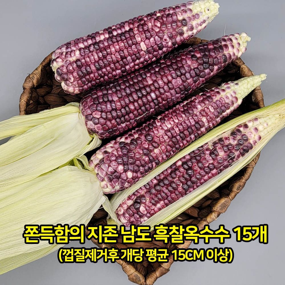 [아이스팩 동봉] 쫀득함의 지존 남도 흑찰옥수수 15개(껍질제거후 개당 평균 15cm 이상)