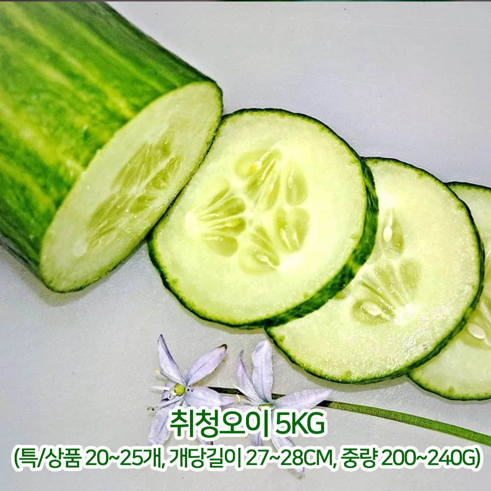 취청오이 5kg(특/상품 20~25개, 개당길이 27~28cm, 중량 200~240g)