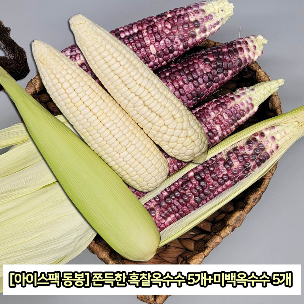 [아이스팩 동봉] 쫀득한 흑찰옥수수 5개+미백옥수수 5개