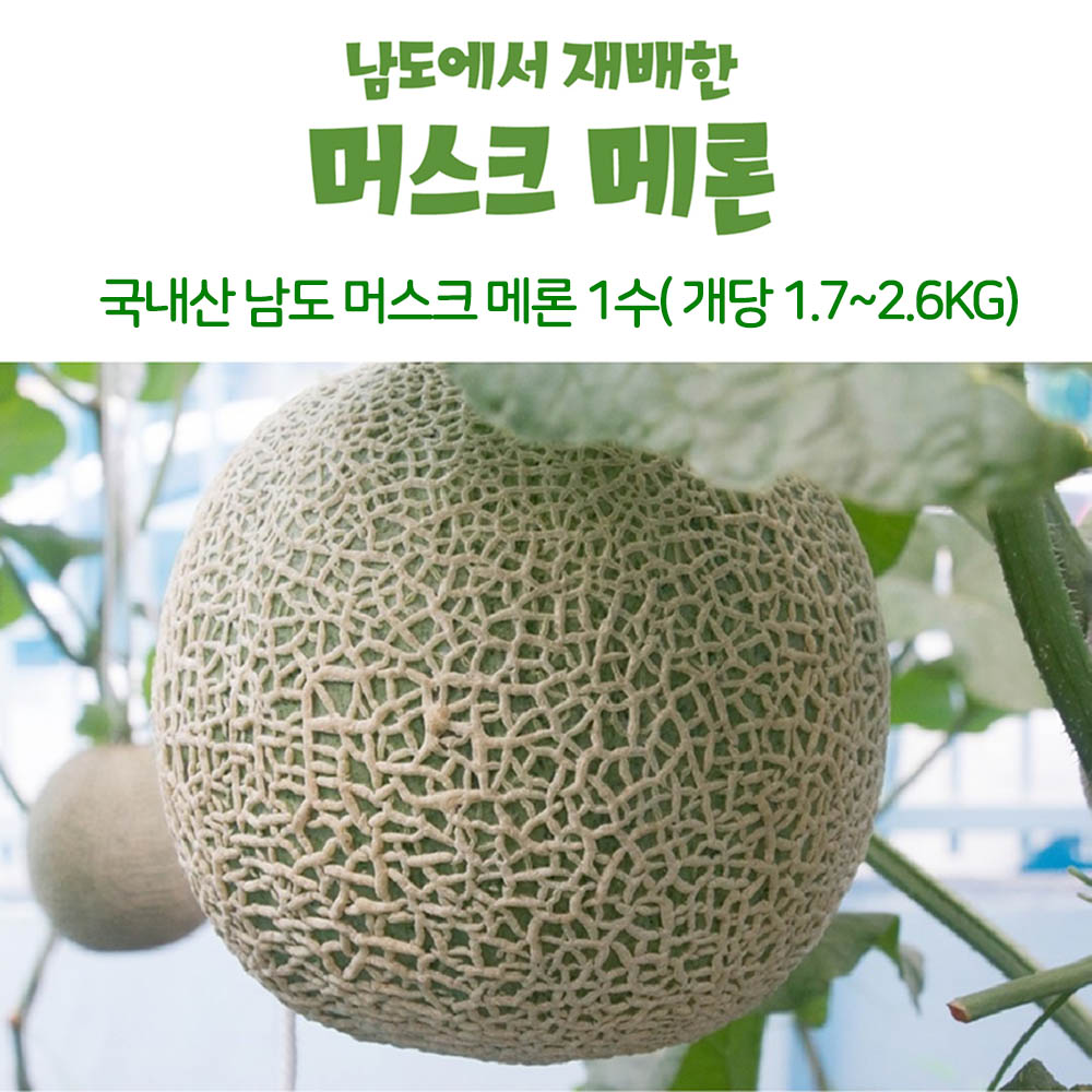 국내산 남도 머스크 메론 1수( 개당 1.7~2.6kg)
