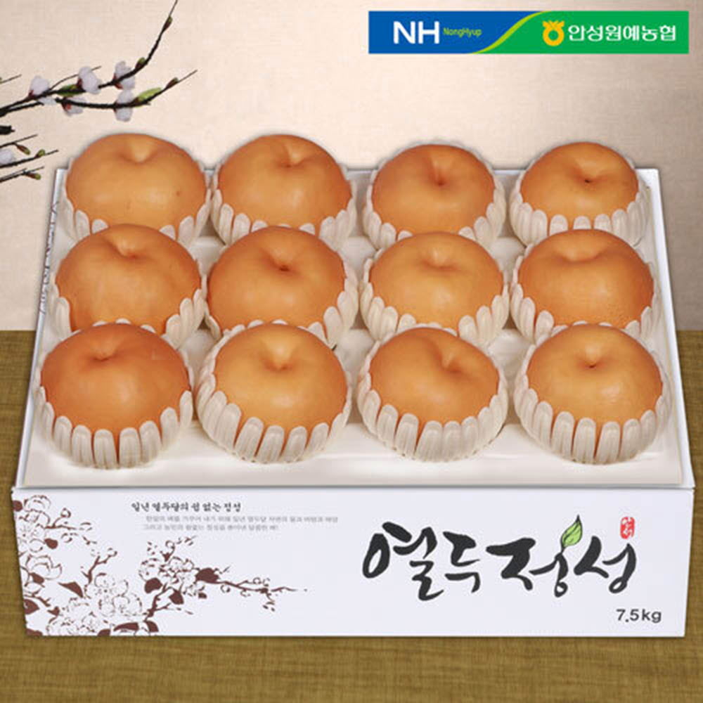 안성배 7.5kg (11-13과)