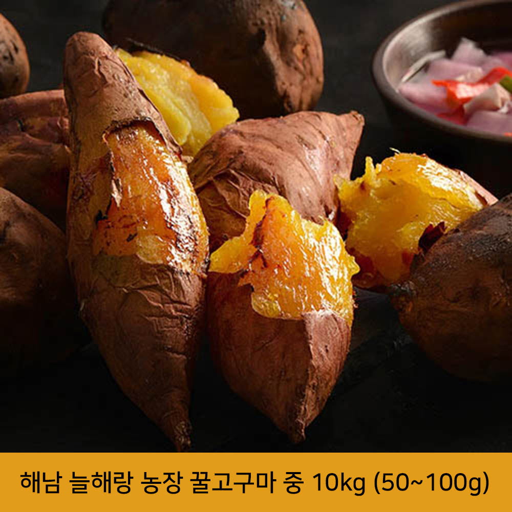 해남 늘해랑 농장 꿀고구마 중 10kg (50~100g)