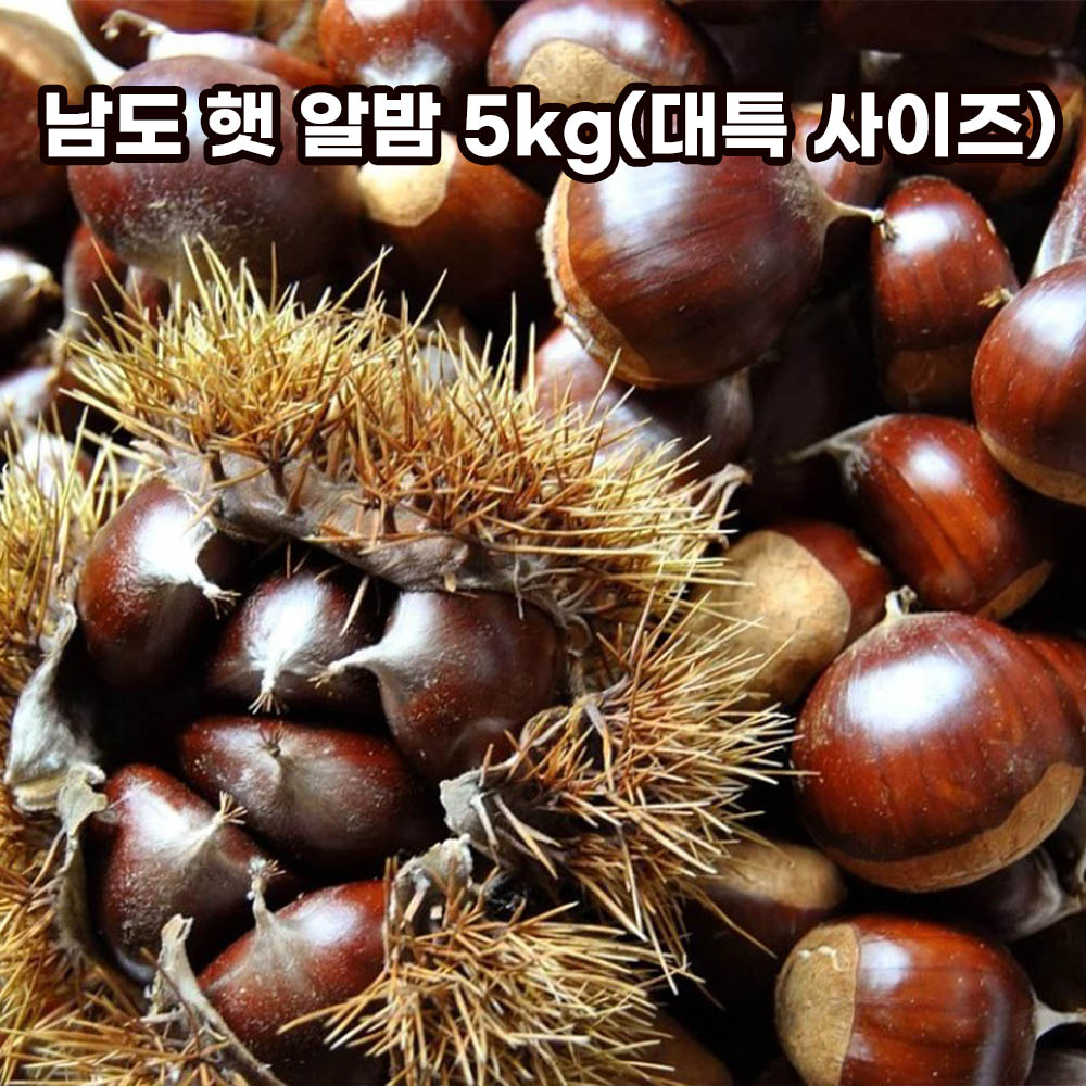 남도 햇 알밤 5kg(대특 사이즈)