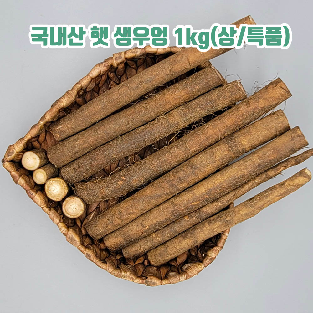 국내산 햇 생우엉 1kg(상/특품)