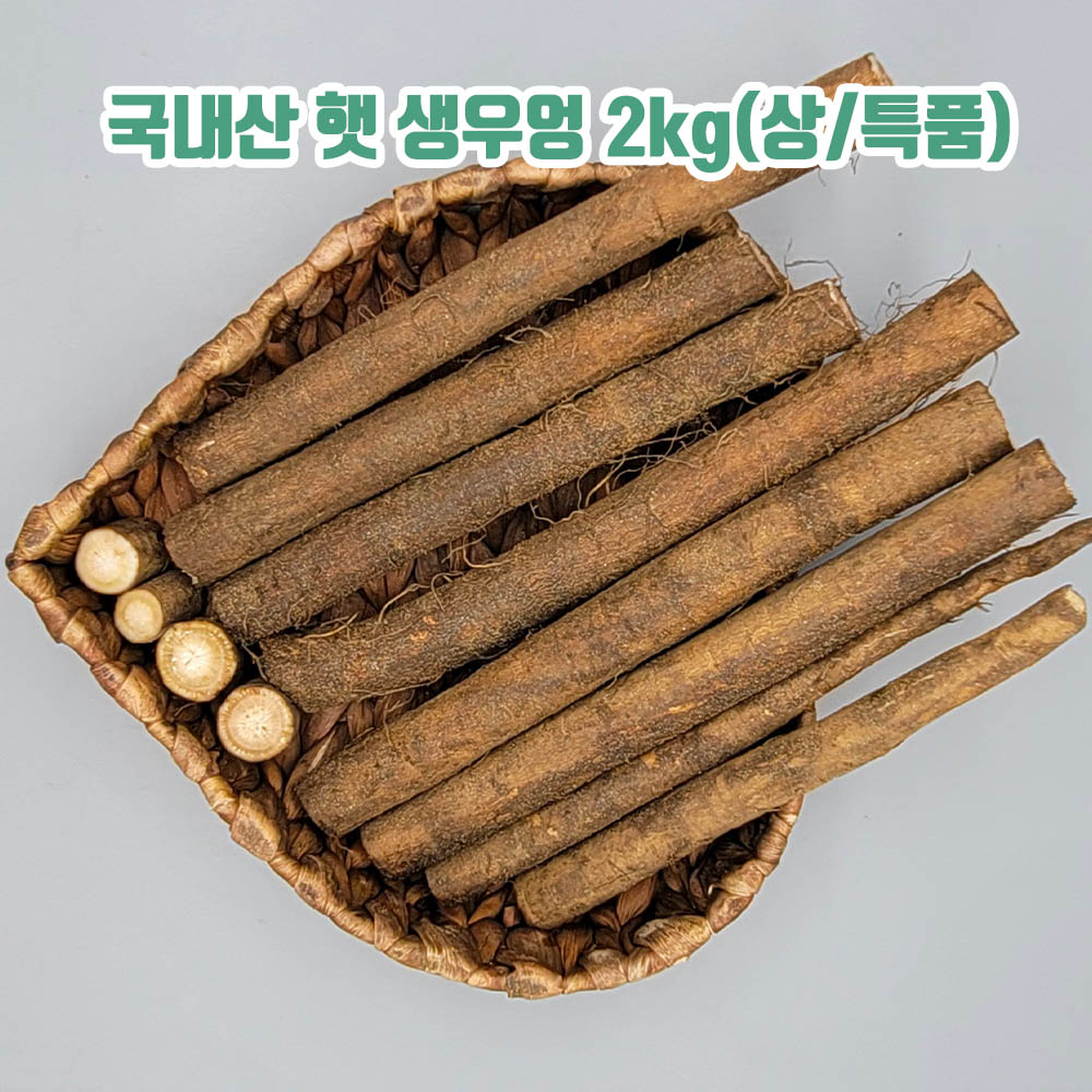 국내산 햇 생우엉 2kg(상/특품)