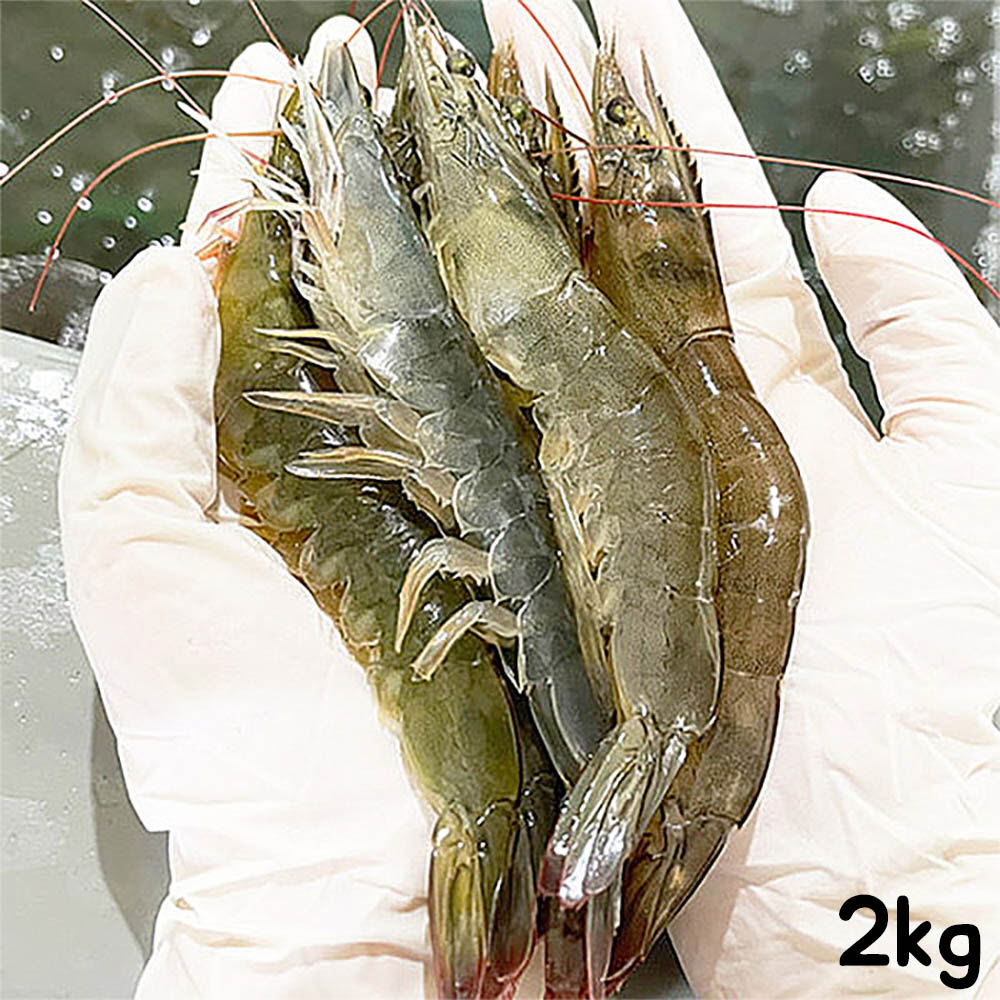 미각기행 더줌 흰다리새우 (32미 내외) 2kg 산지직송