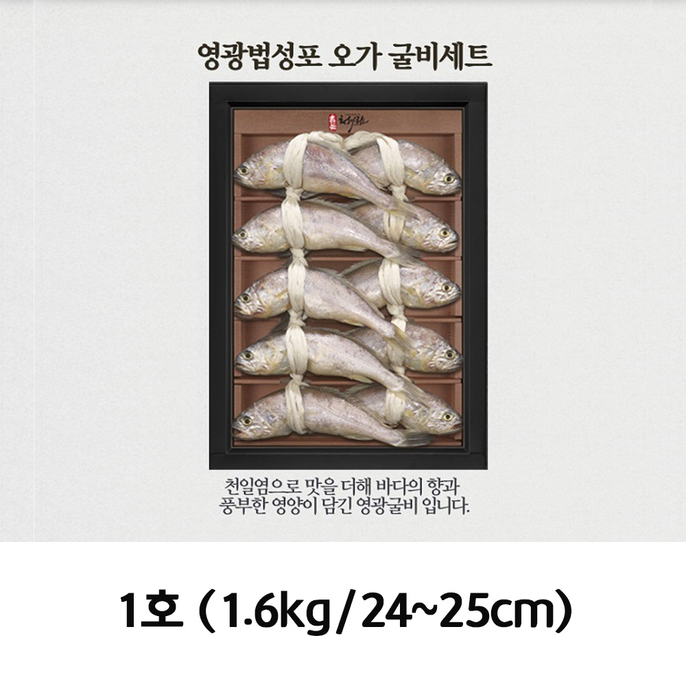 청아람 영광법성포 오가 굴비세트 10미/1.6kg/24~25cm 1호
