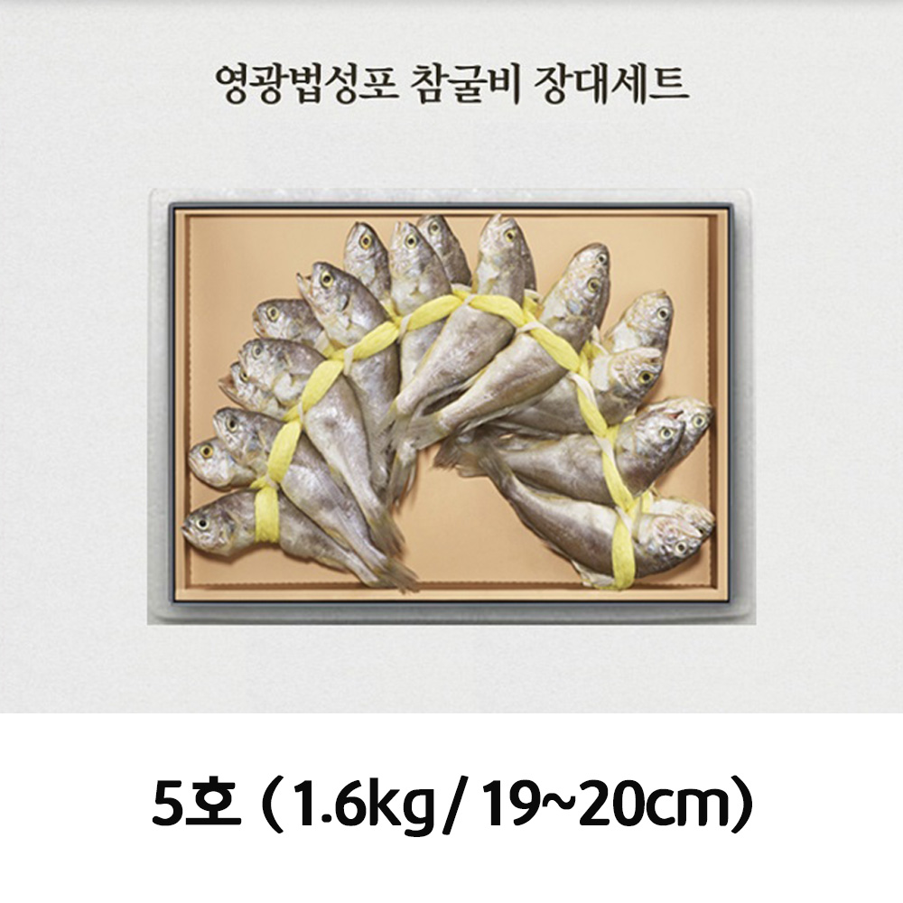 청아람 영광법성포 참굴비 장대세트 20미/1.6kg/19~20cm 5호