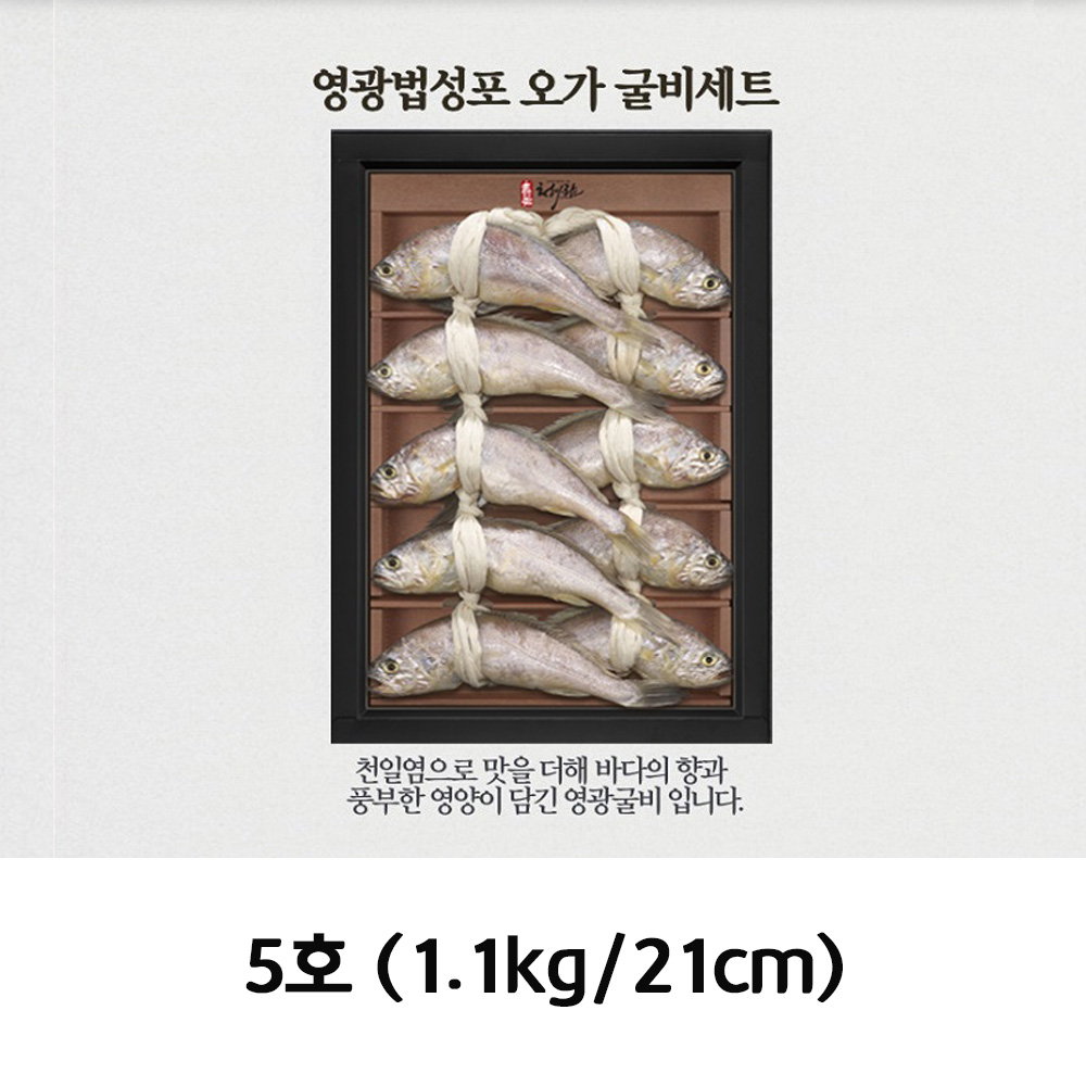 청아람 영광법성포 오가 굴비세트 10미/1.1kg/21cm내외 5호
