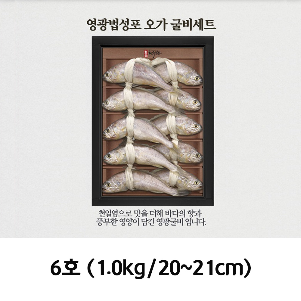 청아람 영광법성포 오가 굴비세트 10미/1.0kg/20~21cm 6호