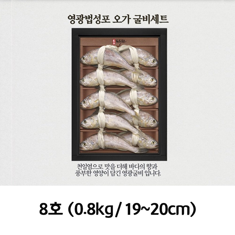 청아람 영광법성포 오가 굴비세트 10미/0.8kg/19~20cm 8호