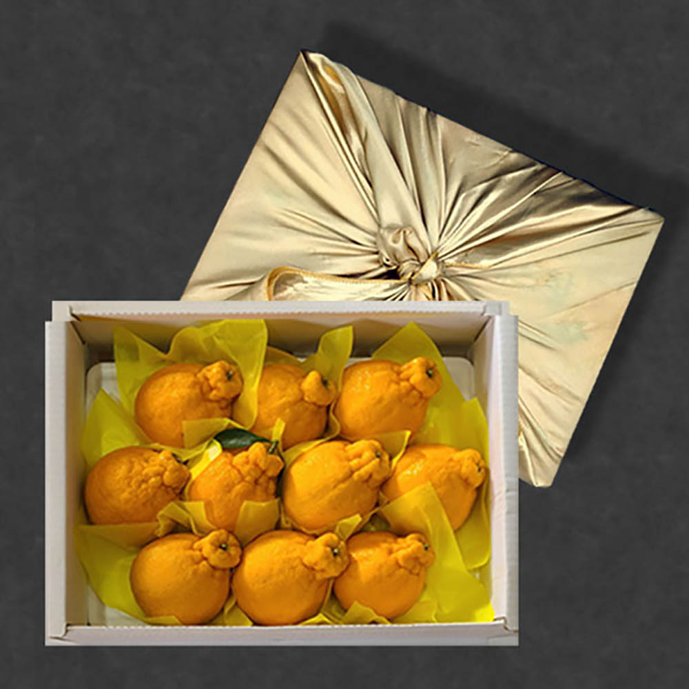 [보자기 포장+감사문구 부착] 한라봉선물세트 3kg 내외(8~11과)