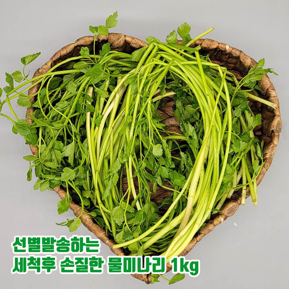 선별발송하는 세척후 손질한 물미나리 1kg(특품)