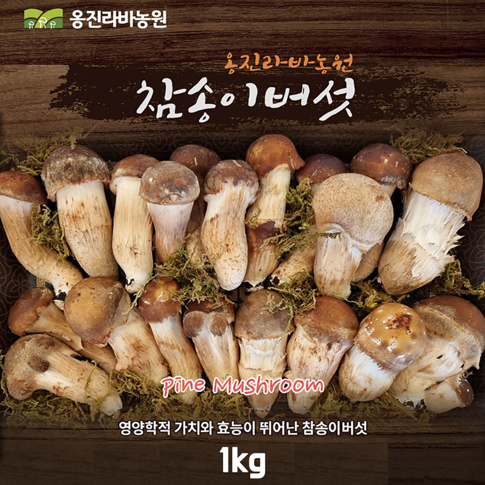 [설선물추천]옹진라바농원 참송이버섯 1kg/ 고마운분께 드리느 최상의 선물!!
