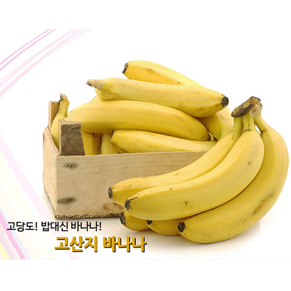 [수입과일] 쫀득쪽득한 식감과 포만감을 높여주는 바나나 2과 2.6kg