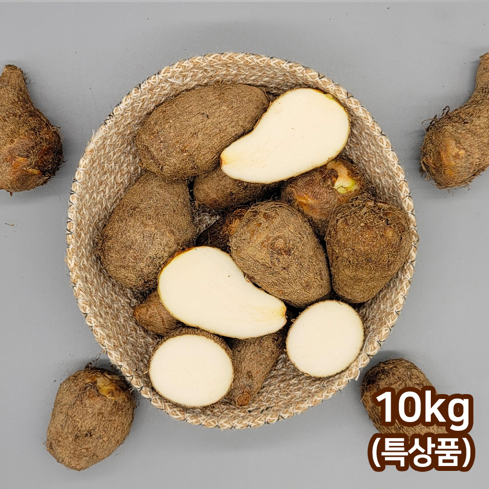 토란 주산지 곡성 햇 생토란 10kg(특상품)