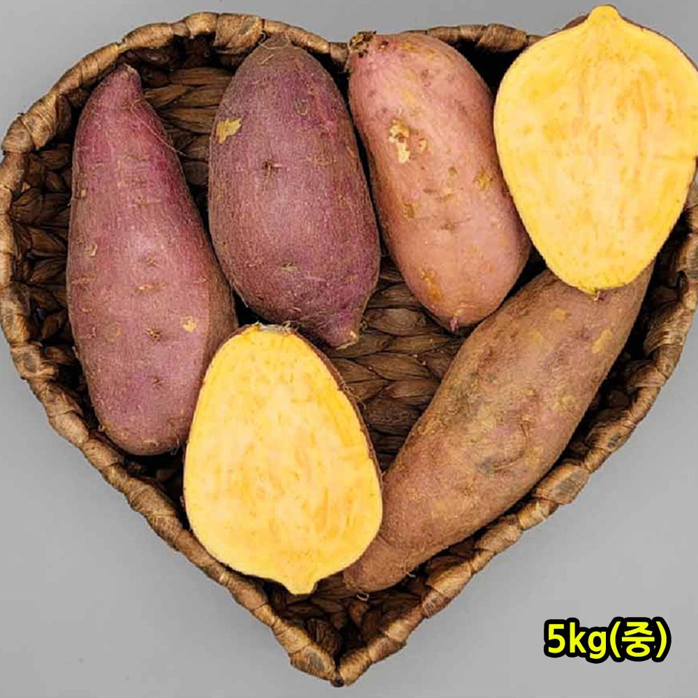22년산 세척 호박고구마 5kg(중)