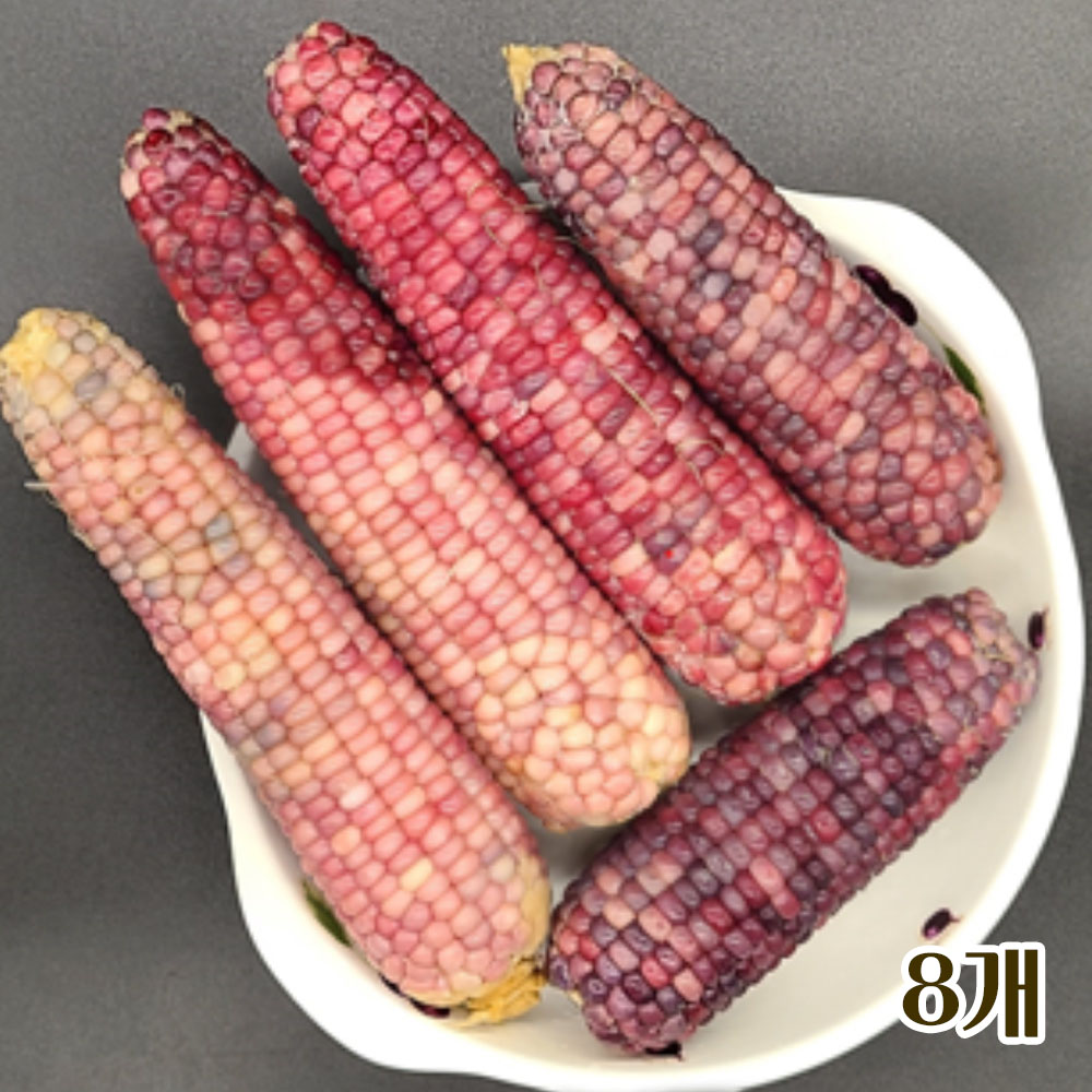 삶은후 진공포장한 국산 흑찰옥수수 8개 (4입 2팩 개당 14~16cm)