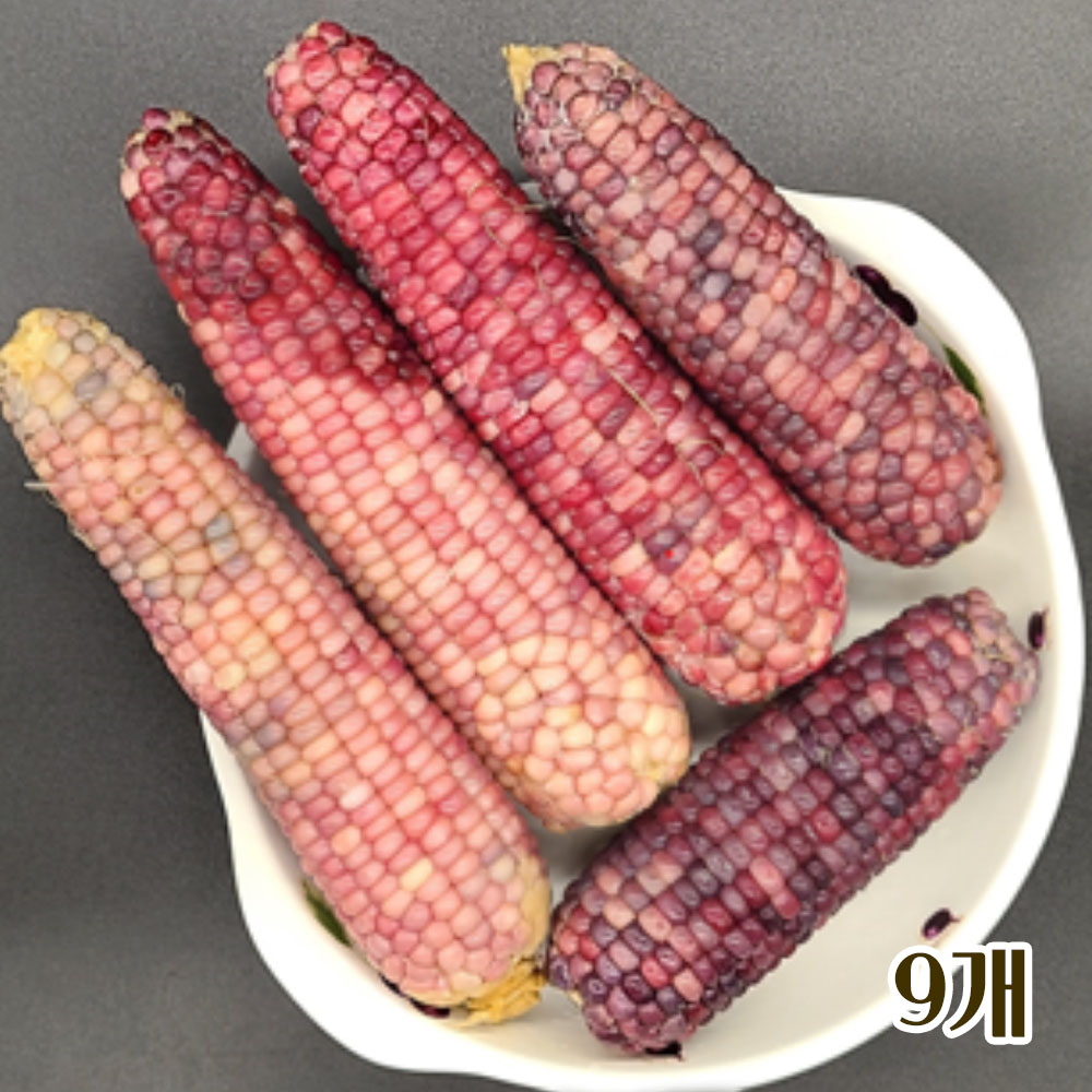 삶은후 진공포장한 국산 흑찰옥수수 9개 (3입 3팩 개당 17~19cm)
