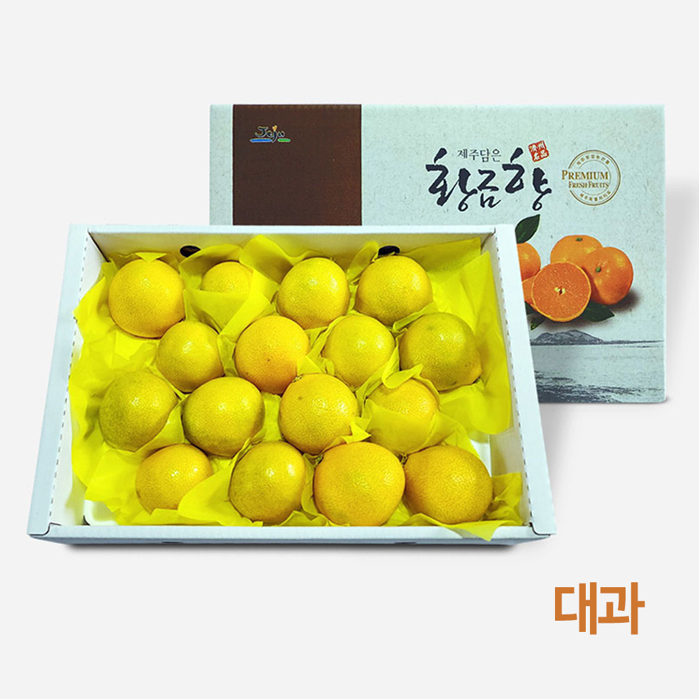 제주 모슬포 ECO 황금향 3kg(실중량 2.5kg) 대 (8~12개)