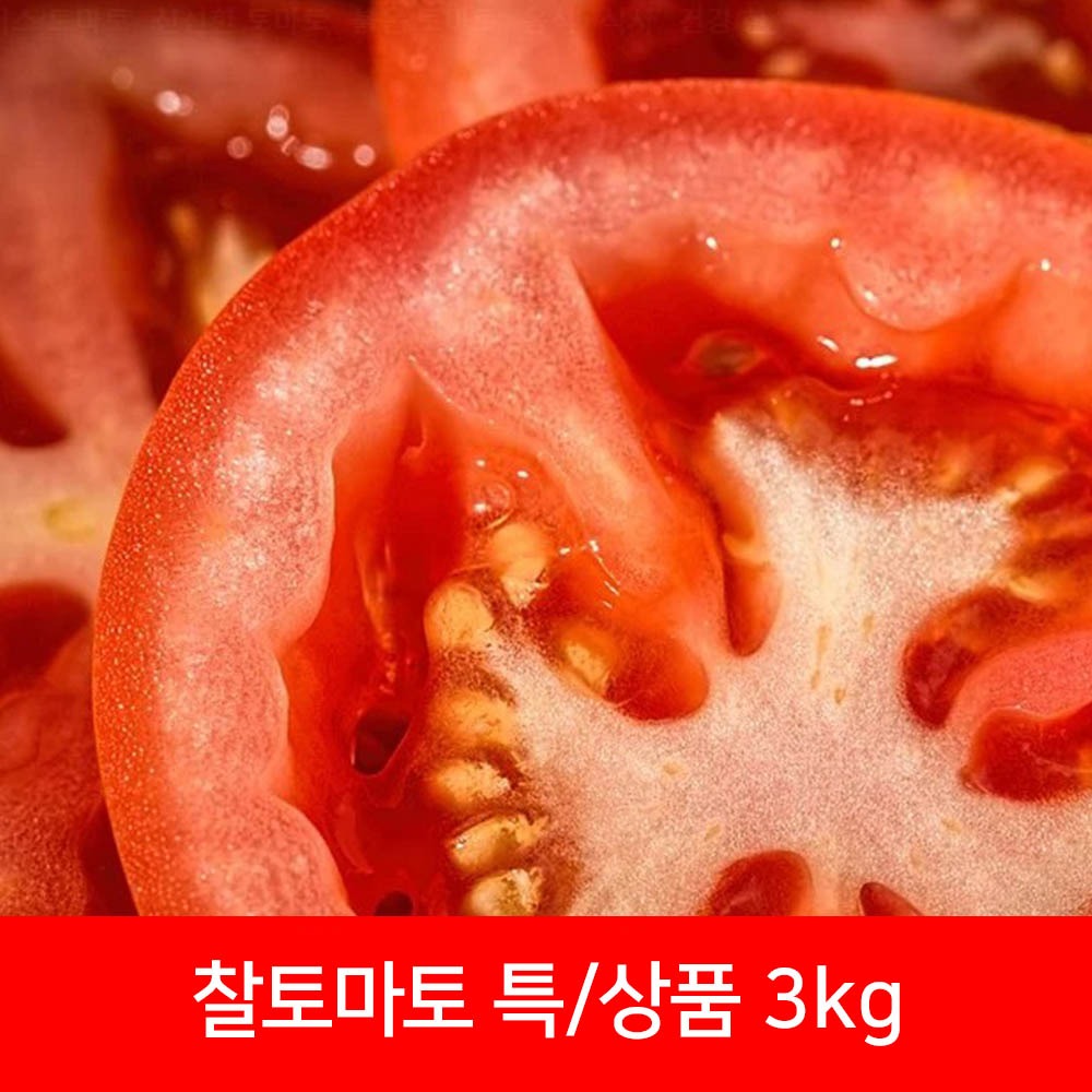 찰토마토 특상품 3kg(개당 평균 120g 이상)