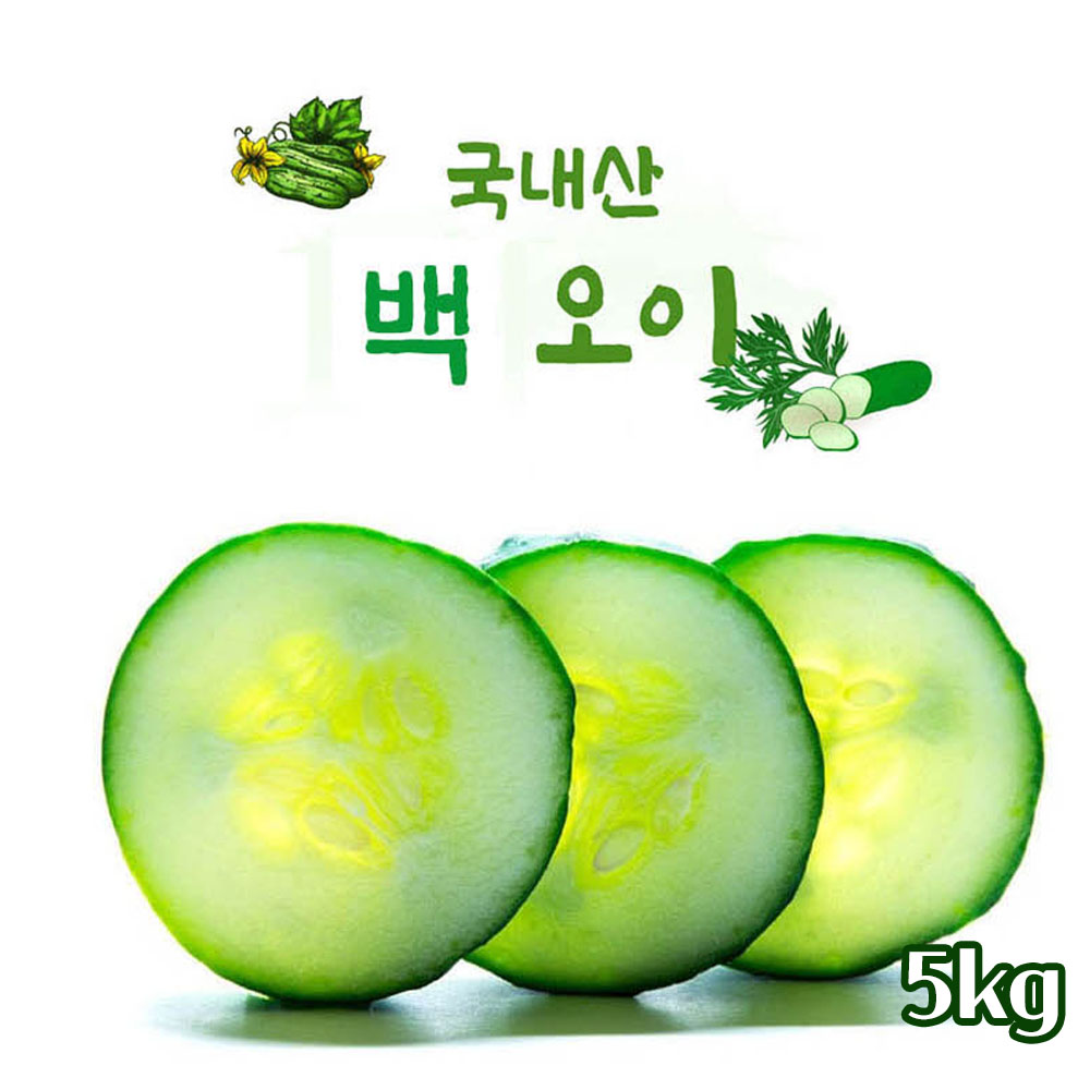 아삭한 백오이 5kg(특/상품 20~25개)