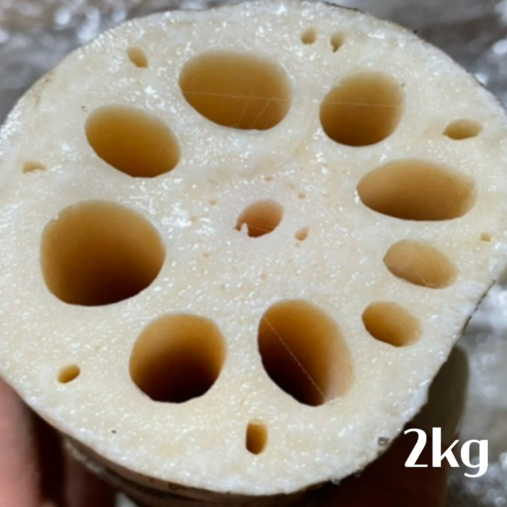 국산 비세척 생연근 2kg(특품/크기혼합)