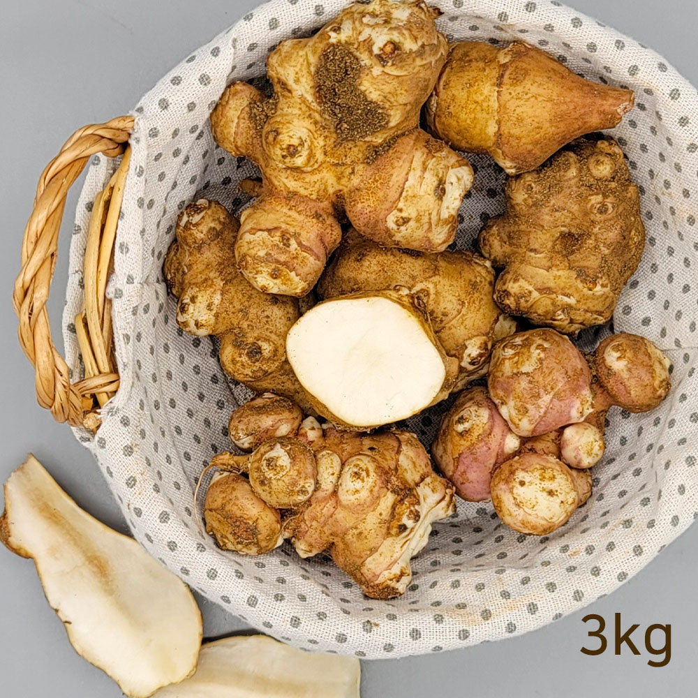 햇 생 돼지감자 3kg (특품)