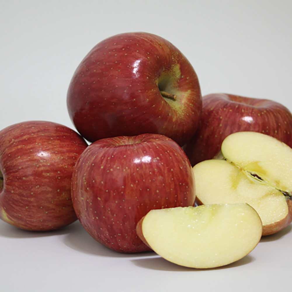 2022 햇 빨간사과 7kg 중과 33-37과 가정용흠과