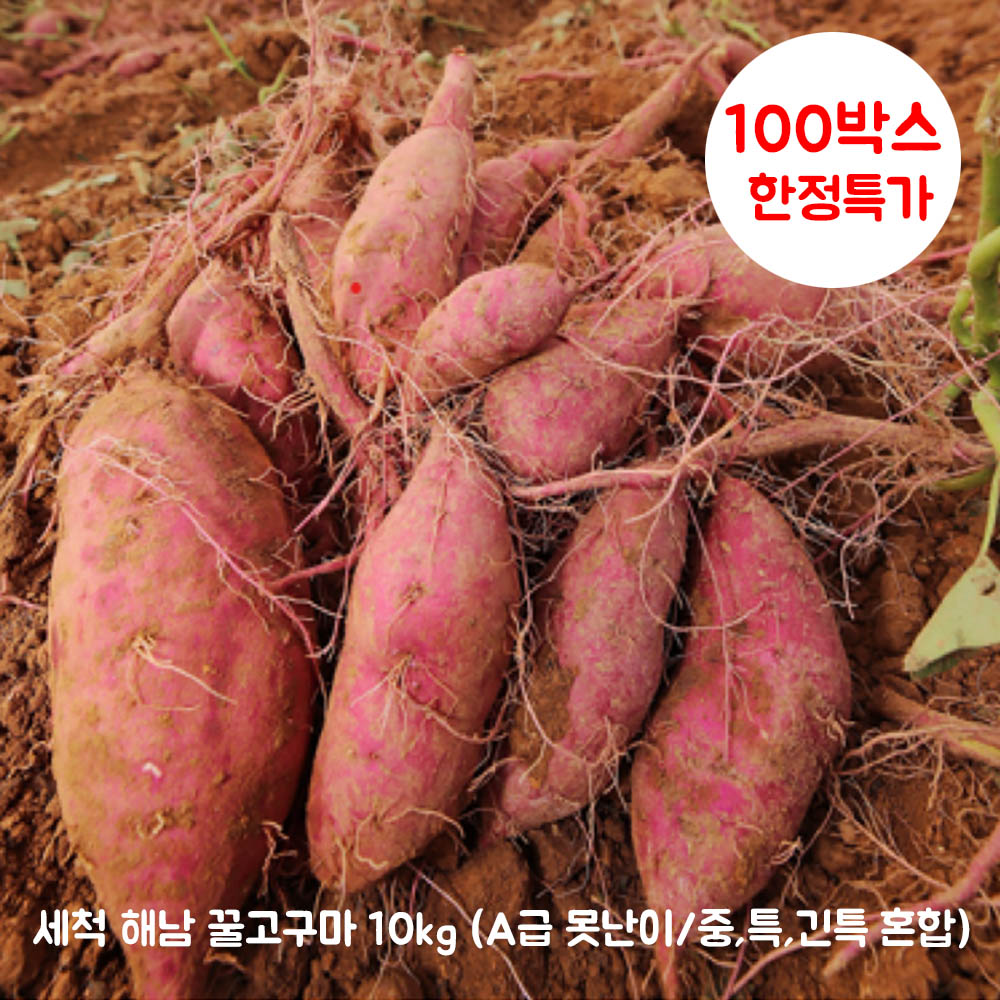 22년산 세척 꿀고구마 10kg (못난이)
