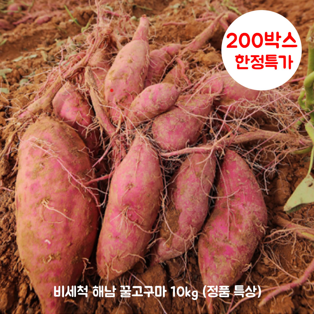 [200박스 한정특가] 비세척 해남 꿀고구마 10kg (정품 특상)