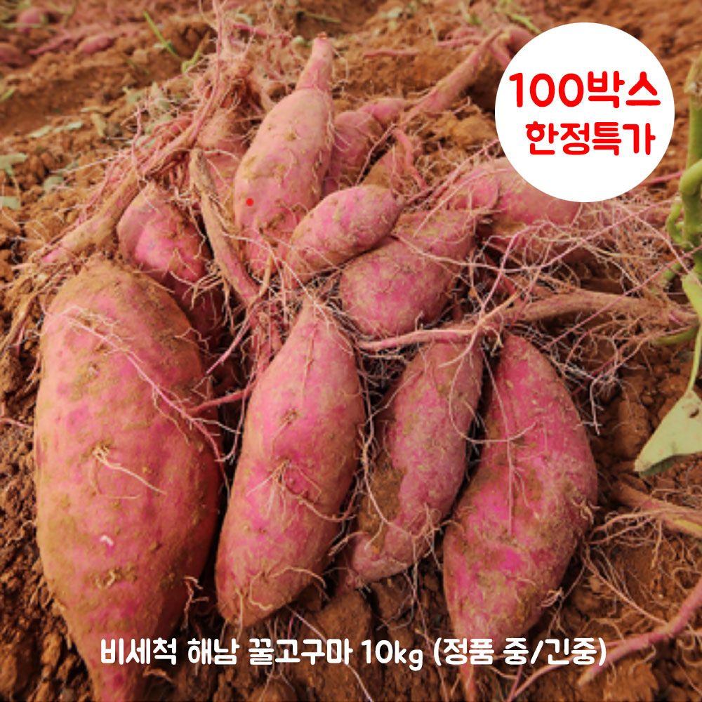 [100박스 한정특가] 비세척 해남 꿀고구마 10kg (정품 중/긴중)