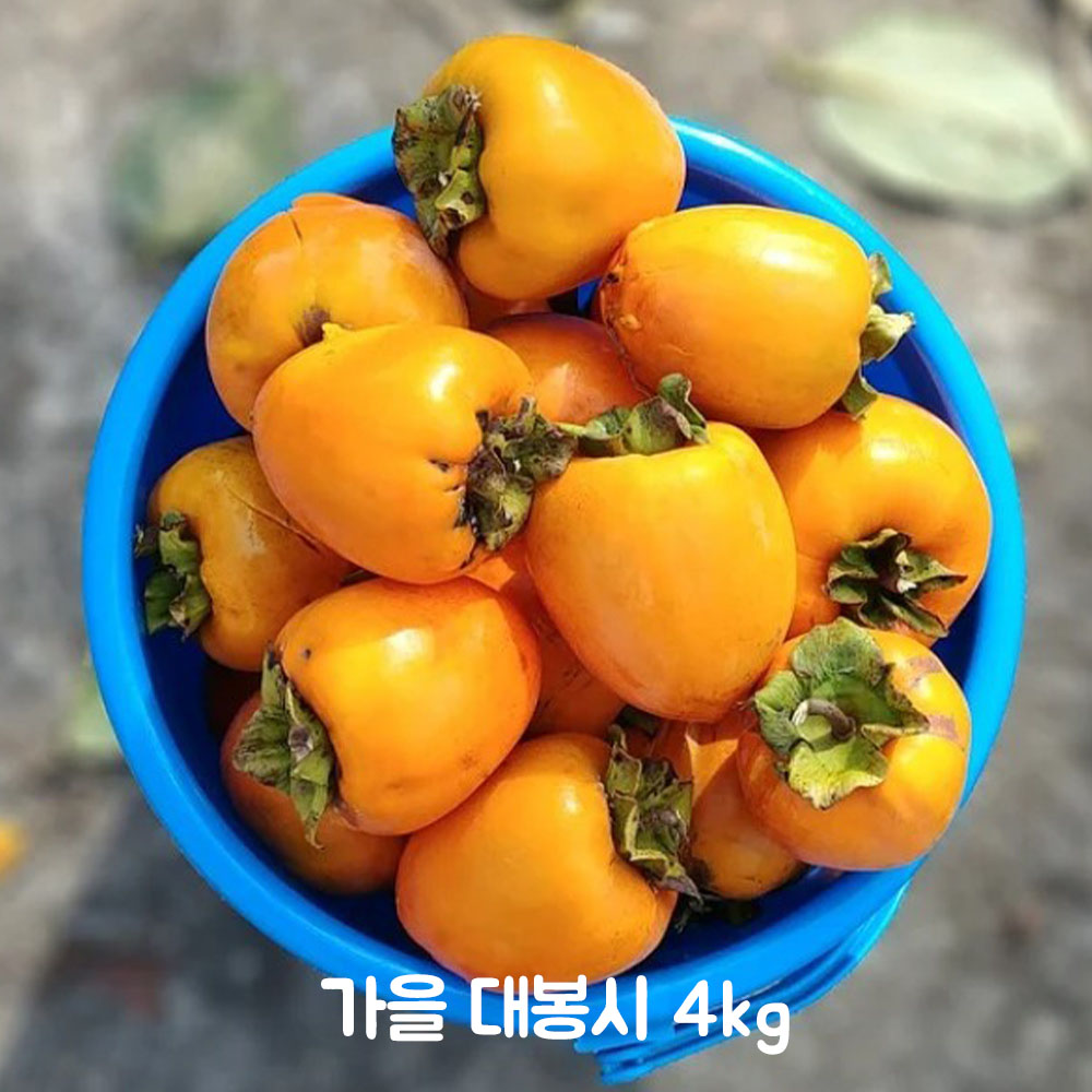 가을 대봉시 4kg(특/상품 14~16개)