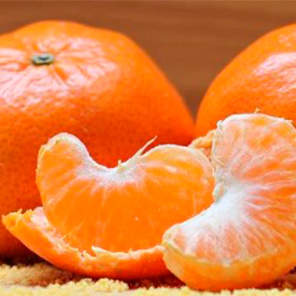 제주 감귤 5kg(로얄과 2S~L 60~90개)