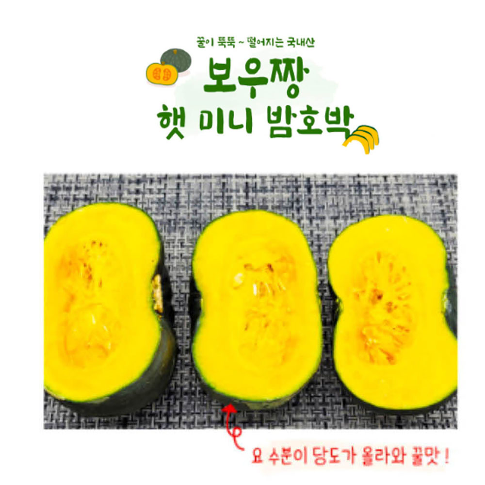 [2개구매시 5kg 1박스로 발송] 함평특산물 미니 밤호박(보우짱) 2kg (로얄과 7~9개)