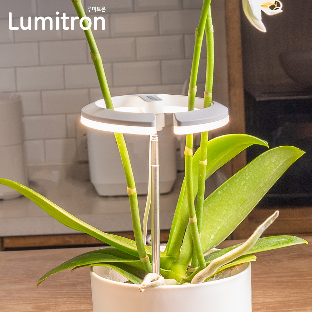 루미트론 LED 식물등 성장조명 밝기조절/타이머 TG012