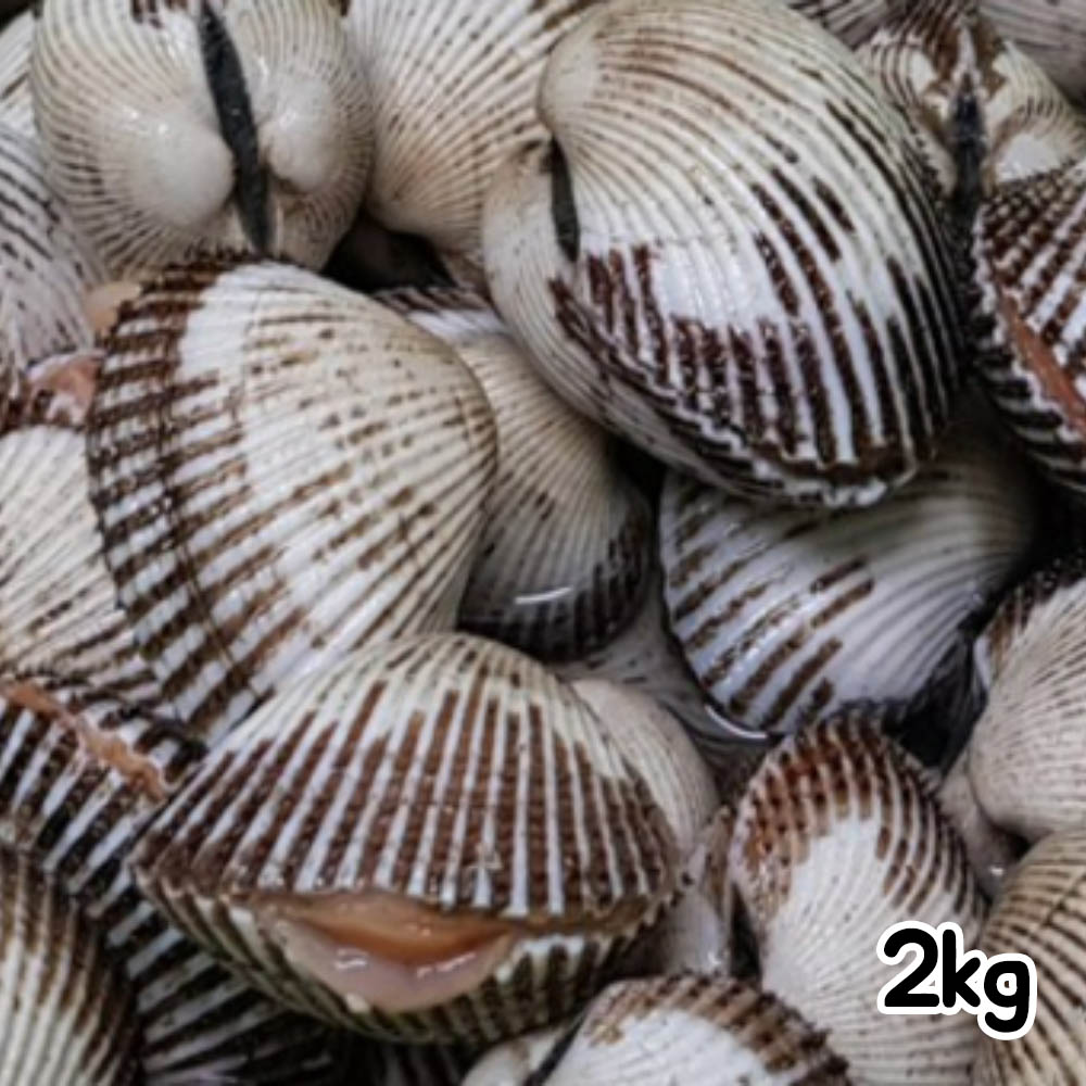 [꼼꼼한 선별+품질보장] 벌교 새꼬막 2kg(특/대/중 혼합)
