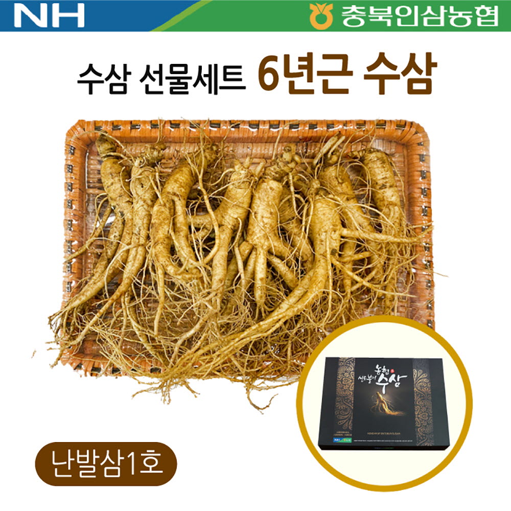 충북인삼농협 수삼 선물세트 (난발삼 소 20~22뿌리)
